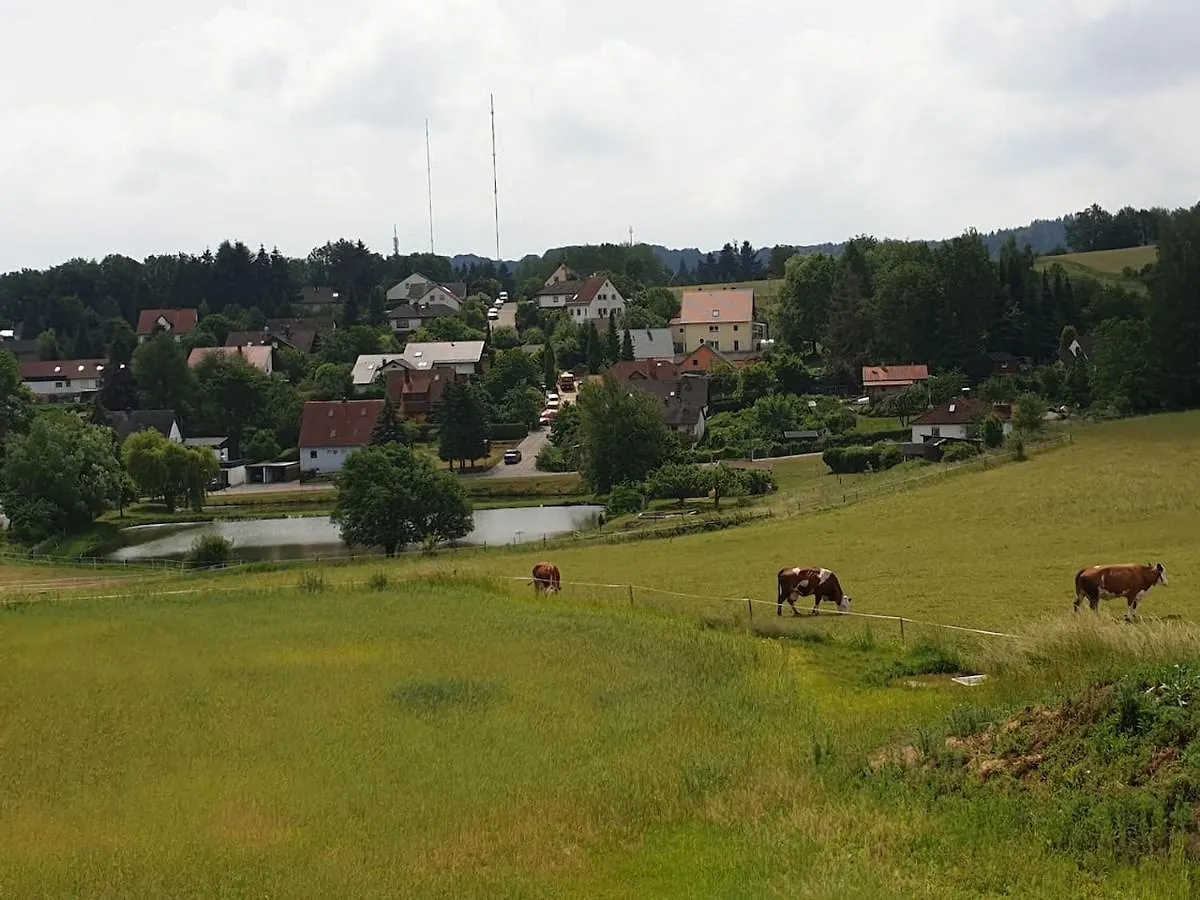 Steinackerhof Apartment Burgthann Germany